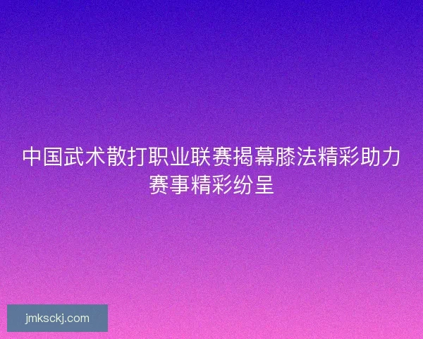 中国武术散打职业联赛揭幕膝法精彩助力赛事精彩纷呈